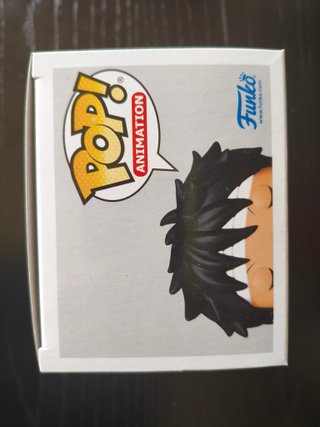 Monkey D. Luffy Funko Pop