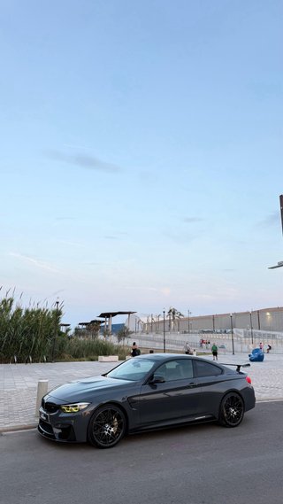 BMW M4 TELESTO M PERFORMANCE EDITION