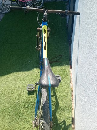 Bicicleta de Montaña Azul y Amarilla