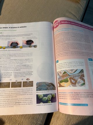 Biología y Geología. 1 Secundaria. Revuela. Cas...