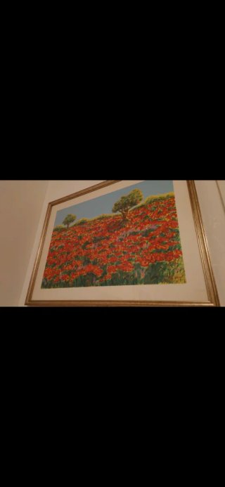 Ezio Ottaviani - Campo di Papaveri