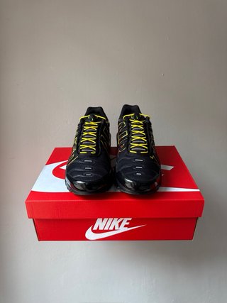 Nike Air Max Plus TN Tuned Sunrise [44.5]