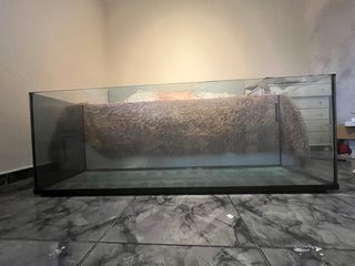 Acuario 300L