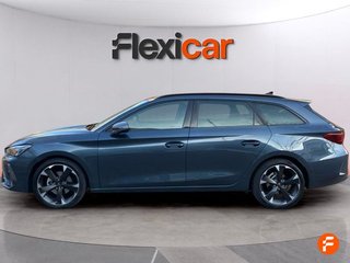 Cupra León SP 1.5 eTSI 110kW (150CV) DSG