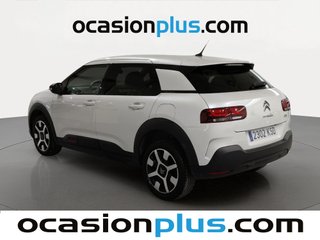 Citroen C4 Cactus PureTech 110 S&S Shine 81 kW (110 CV)