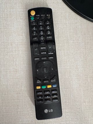 Televisore LG Flatron M2060D