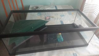 Tortuguera y filtro