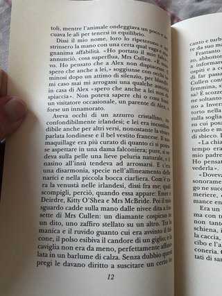 Il falco pellegrino. Una storia d'amore