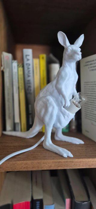 Kangoo lamp