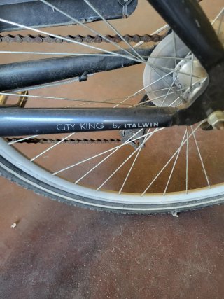 Bicicleta Eléctrica Ducati City King Italwin