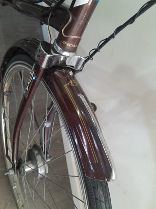 Bicicleta tándem holandesa