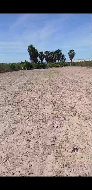 Terreno 6500m² entre San Miguel y Montesino