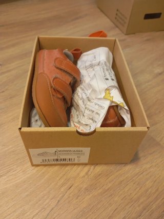 Zapato Feroz L Zapatilla Infantil