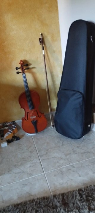 Violín con funda y accesorios