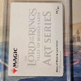 Magic The Gathering LOTR Carta Gradata 10