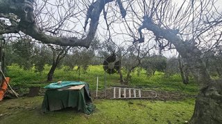 Casa rural en venta en Puebla del Río (La)