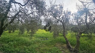Casa rural en venta en Puebla del Río (La)