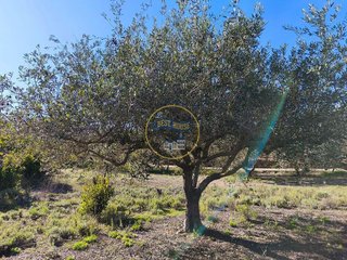 Casa rural en venta en Ontinyent