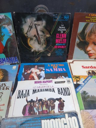 Lote 15 Vinilos LP Latino Samba World Music