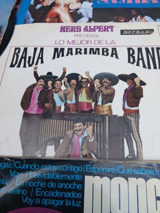 Lote 15 Vinilos LP Latino Samba World Music