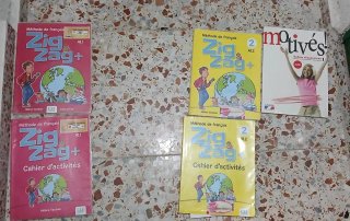 Libros frances zig zag