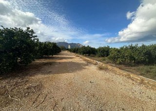Terreno en venta en Ondara