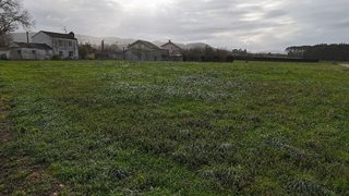 Terreno en venta en Castropol