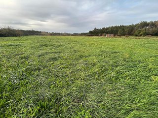 Terreno en venta en Castropol