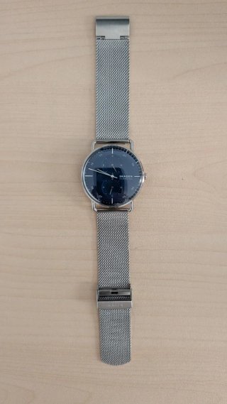 Reloj Skagen Horizont SKW6690 Negro/Plata