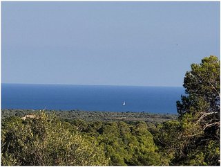 Terreno en venta en Manacor Centro en Manacor