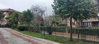 Oficina en alquiler en Zona Avenida Europa en Pozuelo de Alarcón