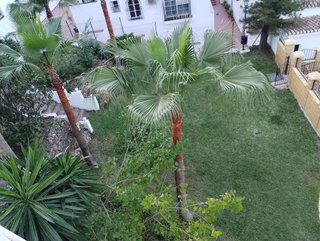 Piso en alquiler en Torrequebrada en Benalmádena