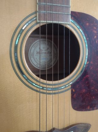 Guitarra Acústica Washburn 120 Aniversario