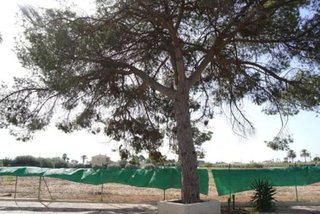 Chalet en venta en Perleta - Maitino en Elche