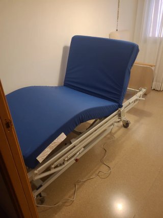 Cama geriátrica automática + accesorio