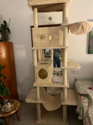 Árbol rascador para gatos