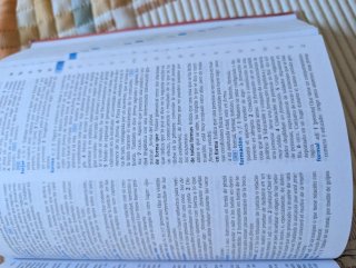 Diccionario Escolar de la Lengua Española
