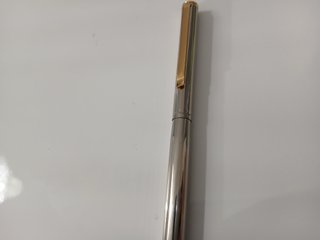 Penna Stilografica Acciaio Oro Vintage