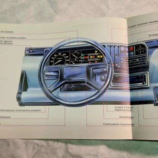 Manuale Uso e Manutenzione Fiat Panda