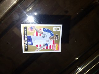Carta de fútbol Pulisic de el mundial 2026