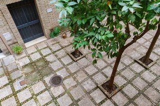 Piso en alquiler en Alfalfa en Sevilla