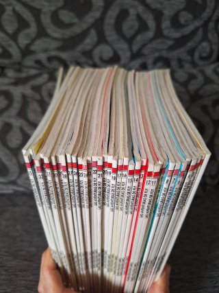 Manga las Aventuras de Fly