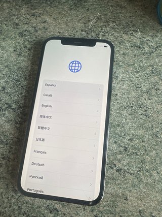 iPhone 12 Pro Negro/Plateado