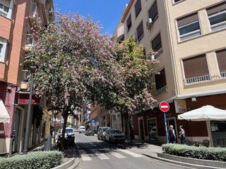 Local comercial en alquiler en Mercado en Alicante