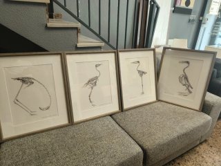4 Cuadros Esqueletos dinosaurios