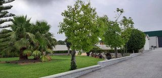 Alquiler de Parcela para Eventos