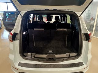 Ford S-MAX 2.0 TDCi Panther 110kW ST-Line Pow