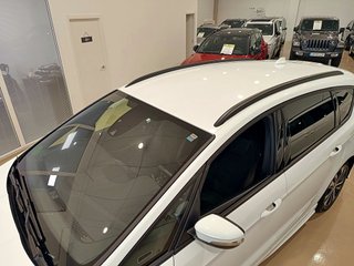 Ford S-MAX 2.0 TDCi Panther 110kW ST-Line Pow