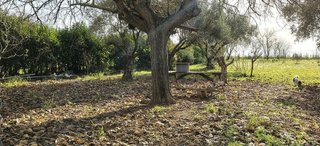 Chalet en venta en Las Vaguadas - Urb. del Sur en Badajoz