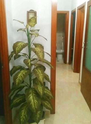 Piso en venta en Parque María Luisa - Huerta de la Salud - Giralda Sur en Sevilla